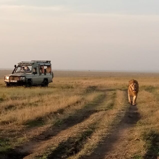 Maasai Mara