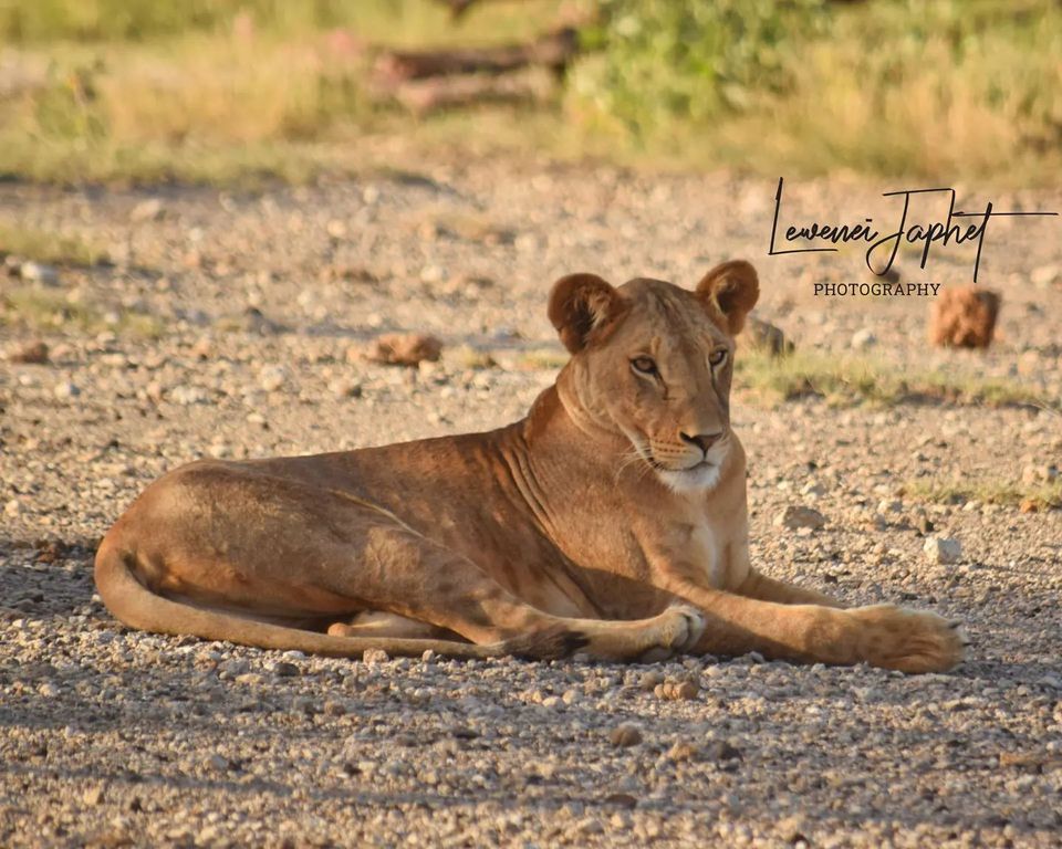 278912932_2530154647126537_3857475323246214398_n (1)