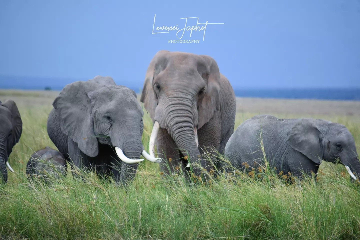 316546907_2736966773111989_6823542090439125126_n