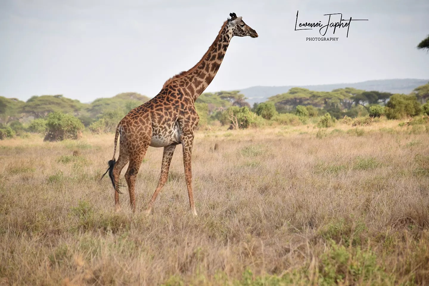 318111849_2745463582262308_6575267148293687907_n