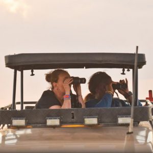 Half Day Nairobi National Park Tour