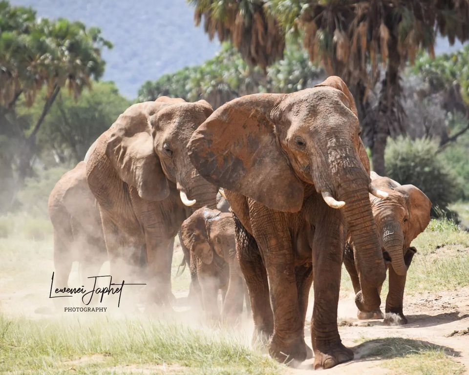 277445039_2509582182517117_3225746102064532075_n