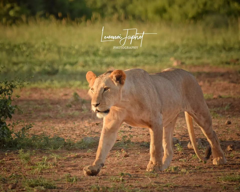 281374970_2552669864875015_1249806390971989782_n