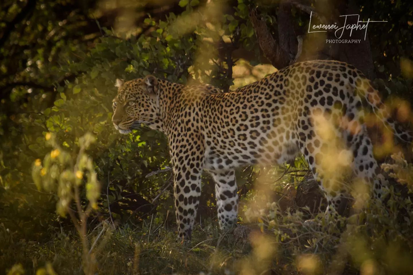 287133695_2581155555359779_846530708190763867_n