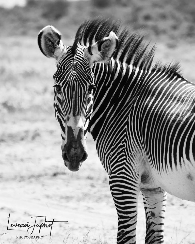 287694677_2579553852186616_5780187967178865626_n