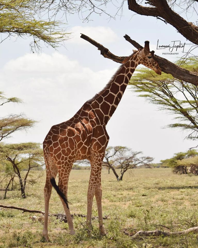 323044842_714724983578727_5447311927890521726_n