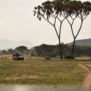 5 DAYS 4 NIGHTS NOTHERN KENYA SAFARI EXPERIENCE