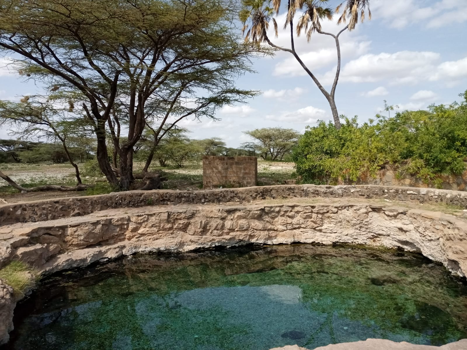 WhatsApp Image 2023-03-05 at 20.28.22 (2)