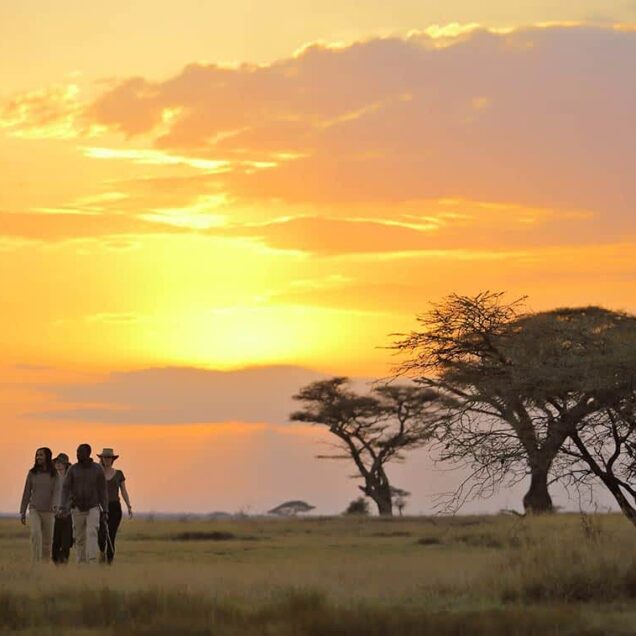 Serengeti National Park