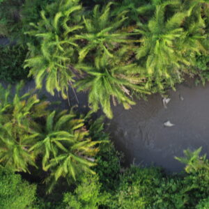 8 Days Kenya and Tanzania Classic Safari