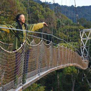 6 Days Gorilla & Chimpanzee Trekking in Rwanda